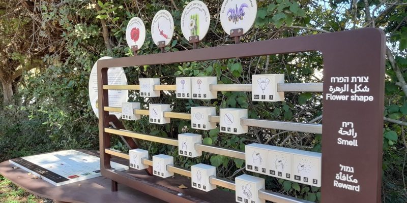 באדיבות: הגן הבוטני של אוניברסיטת תל אביב