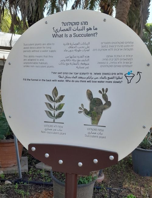 באדיבות: הגן הבוטני של אוניברסיטת תל אביב
