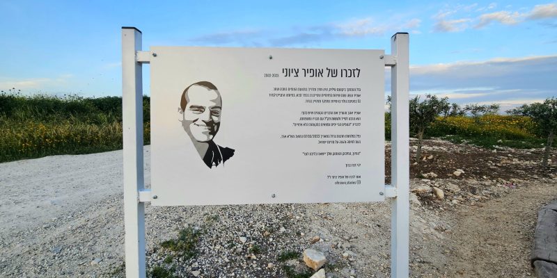 מצפה אופיר ציוני: האלון הבודד מאגר דליה