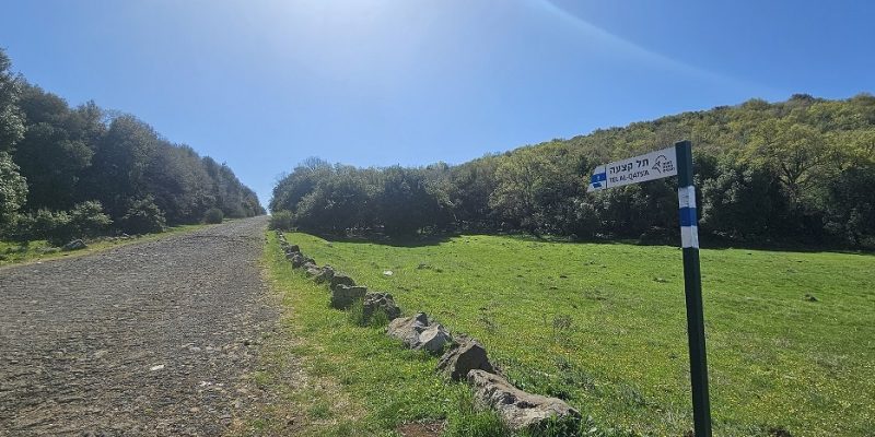 תל קצעה שביל הגולן