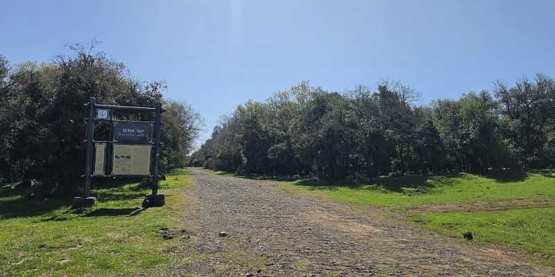 תל קצעה שביל הגולן