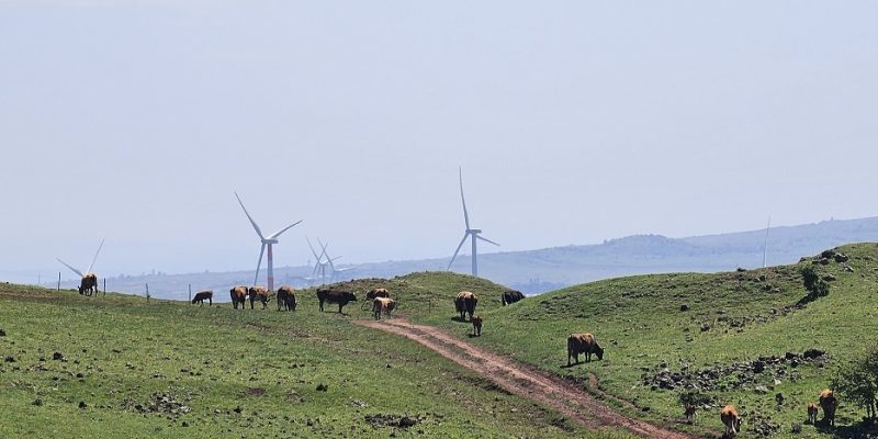 הר אודם שביל הגולן