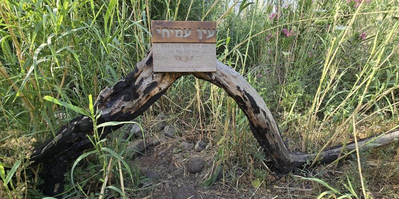 עין זכרי: בריכת עמיחי בנחל המשושים
