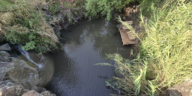 עין זכרי: בריכת עמיחי בנחל המשושים