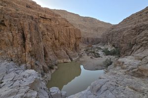 נחל חדב: טיול גבים בנחל הנסתר של הנגב הדרומי