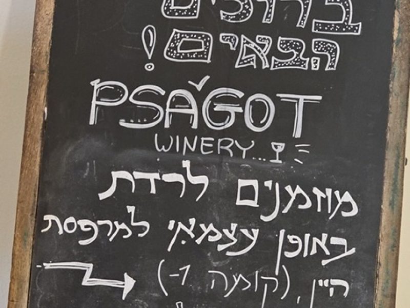 יקב פסגות