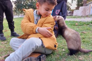 יש חווה כזאת בכפר סילבר - צילום באדיבות יש חווה כזאת