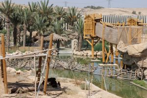 פארק החיות מדבריום תמונה באדיבות קופונופש