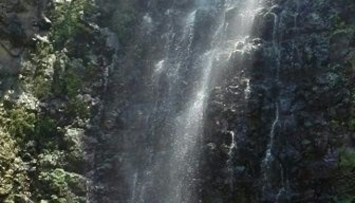 מסלול נחל הג'ילבון