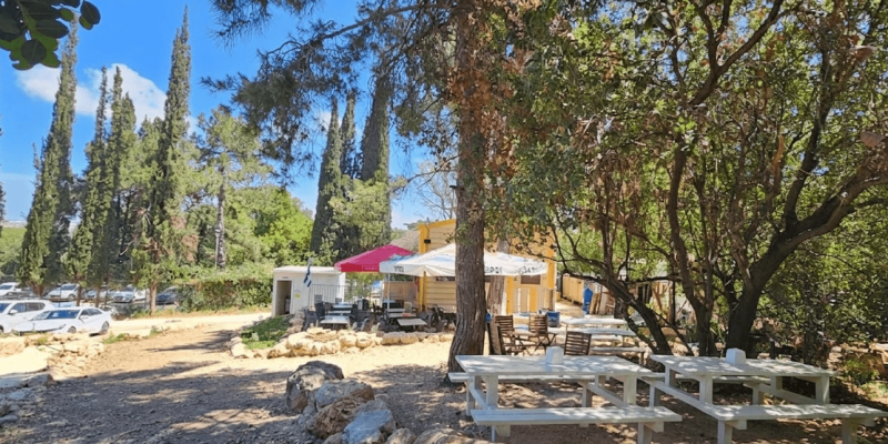 קפה אסיף