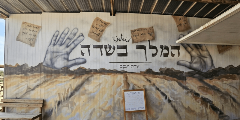 המלך בשדה: פודטראק בלב השדה שדה יעקב