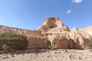 נחל זוהר – מסלול הליכה קווי במדבר יהודה
