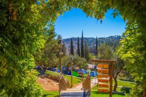 באדיבות יער השלום