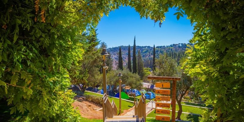אירוח צימרים וקמפינג ביער השלום באדיבות יער השלום