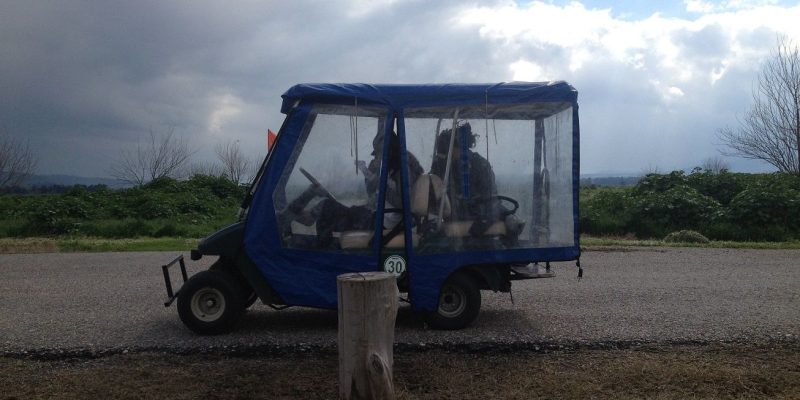 11 טיולי טבע נגישים עם רכבי גולף לכל המשפחה