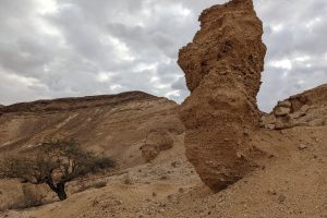 הר מסור: המדריך המלא לטיול בנחל והר מסור