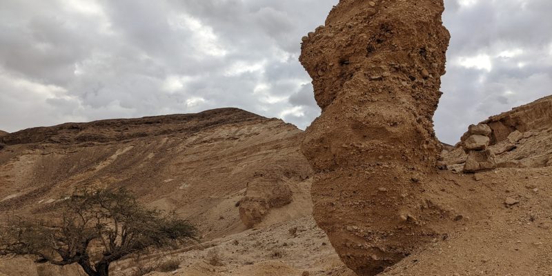 הר מסור: המדריך המלא לטיול בנחל והר מסור