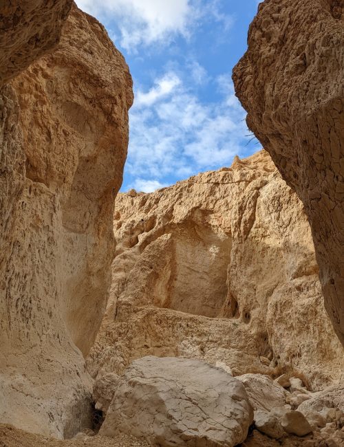 הר מסור: המדריך המלא לטיול בנחל והר מסור