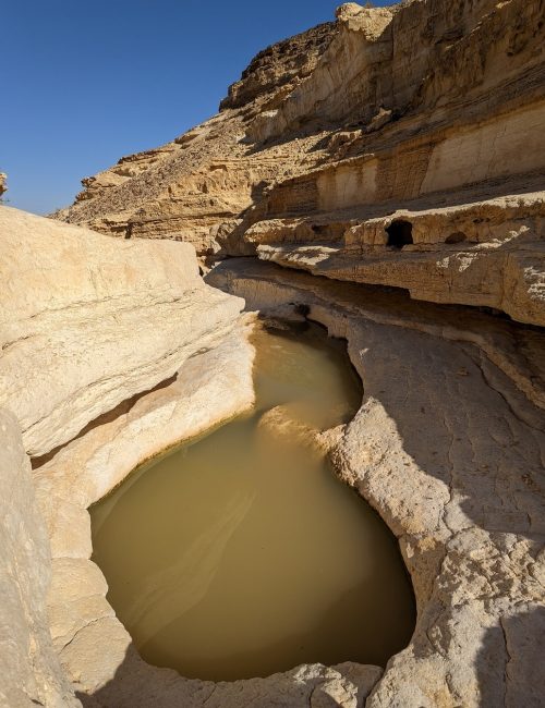 נחל שרף: מסלול גבים פחות מוכר במזרח הנגב