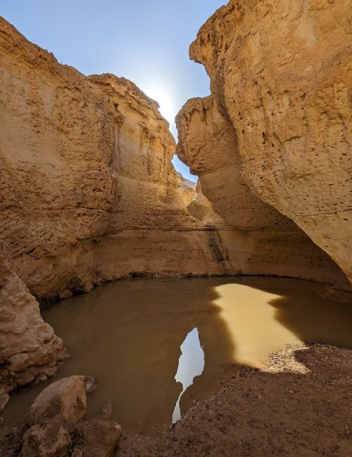 נחל שרף: מסלול גבים פחות מוכר במזרח הנגב