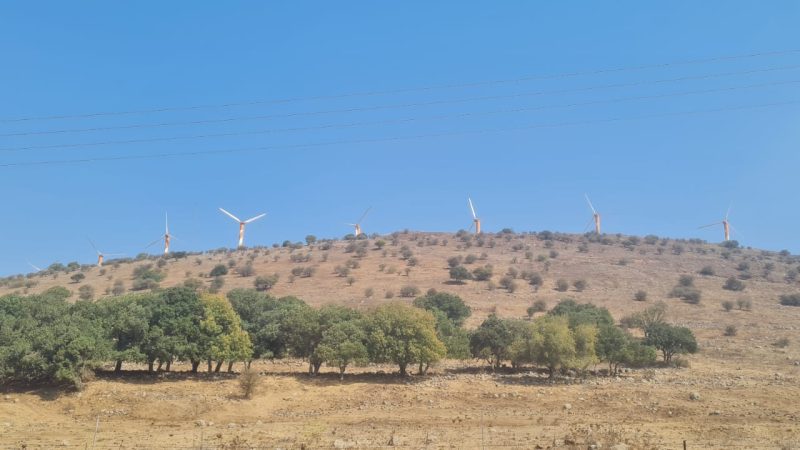 חוות הרוח הר בני רסן – תל ע'סניה