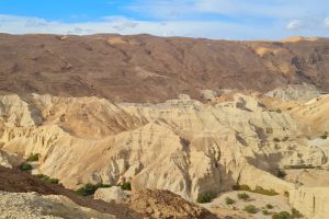 נחל זוהר – מסלול הליכה קווי במדבר יהודה
