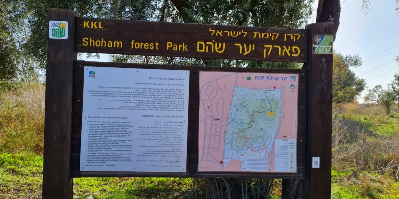פארק יער שוהם – חרבת תנשמת וגבעת הספלולים
