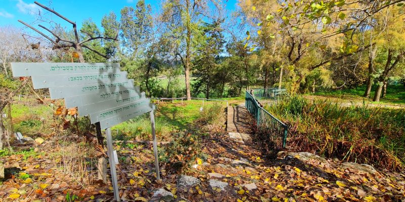 הגן הבוטני במכללת אורנים – קריית טבעון
