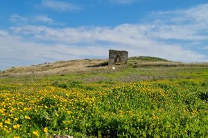 שביל סיון – עמק השלום ונחל סנין