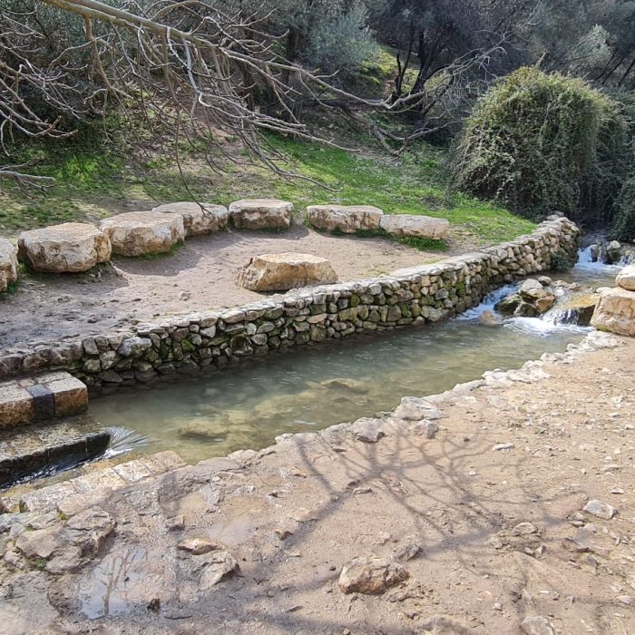 שמורת הטבע נחל ראש פינה