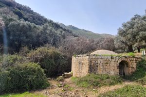 שמורת הטבע נחל ראש פינה