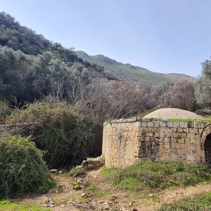 שמורת הטבע נחל ראש פינה