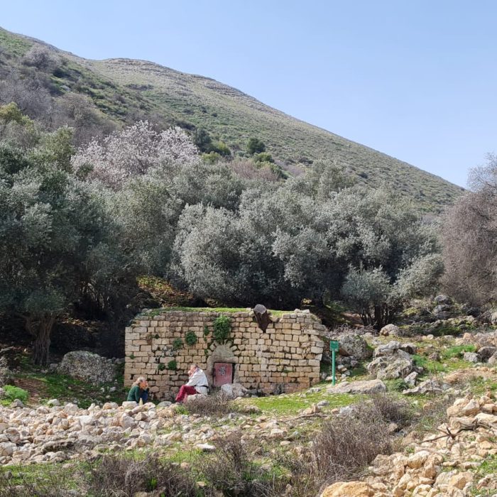 שמורת הטבע נחל ראש פינה