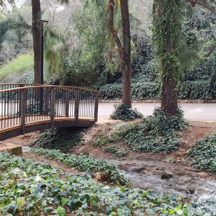 שמורת הטבע נחל ראש פינה