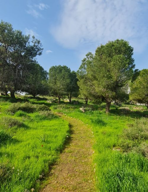 שמורת הטבע עין אפק