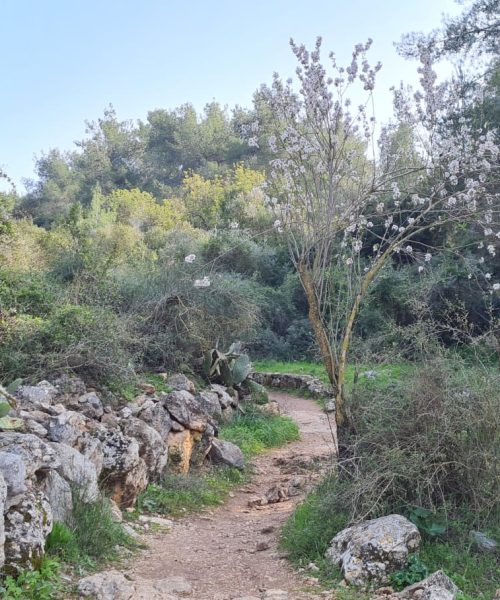 שביל הבארות והבורות – פארק בריטניה
