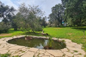 חוות הנוי – הגן הבוטני ליד כפר מונאש