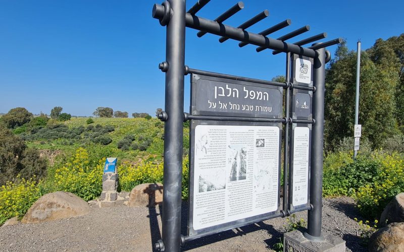 הירידה מאליעד לשמורת הטבע נחל אל על