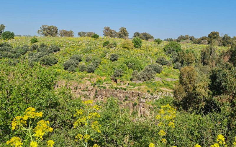 שמורת הטבע נחל אל על