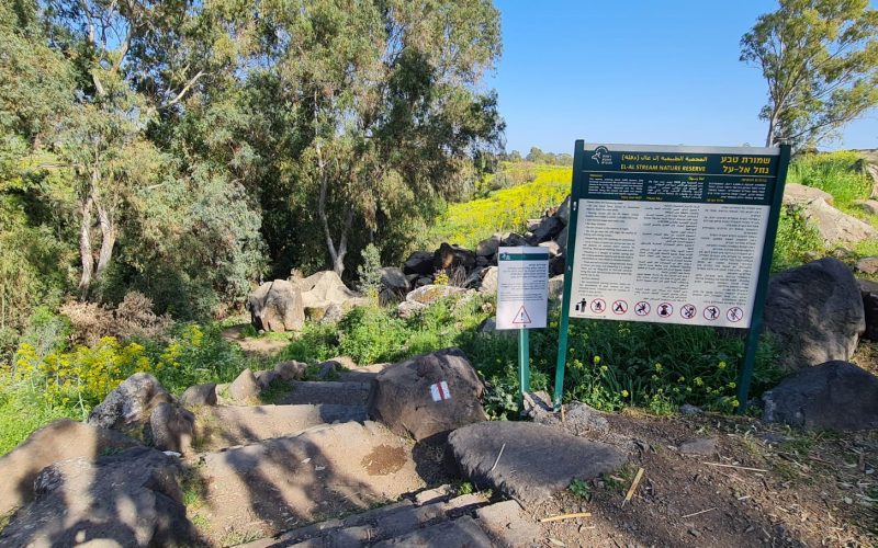 הירידה מאליעד לשמורת הטבע נחל אל על