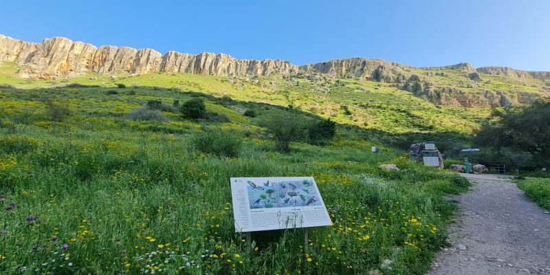 גן לאומי ארבל מבואת חורבת חמאם