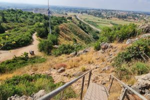 מצפור מורן ורדי חוטם כרמל