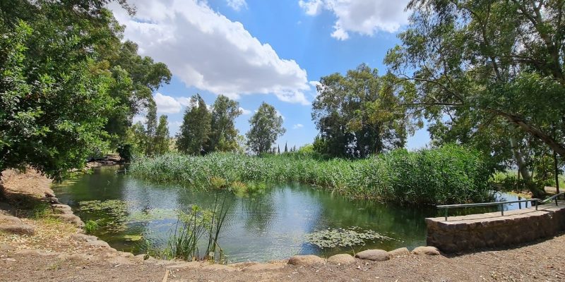 גן הפסלים והאגם הנעלם בכפר סאלד – מקום לעצירה קצרה