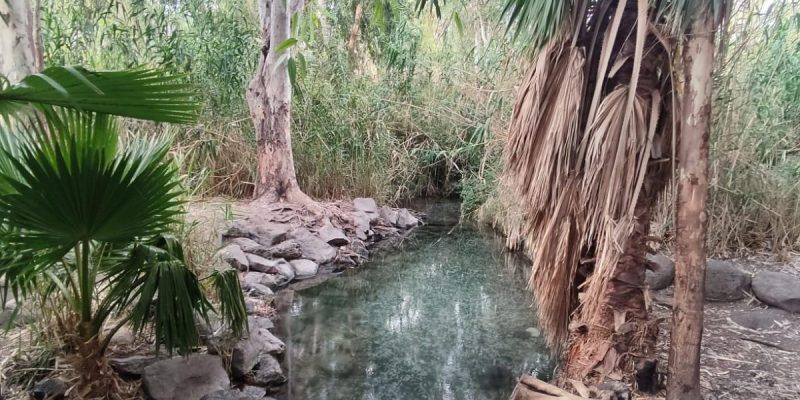 עין הדייג – מעיין קטן ונסתר בלב עמק החולה