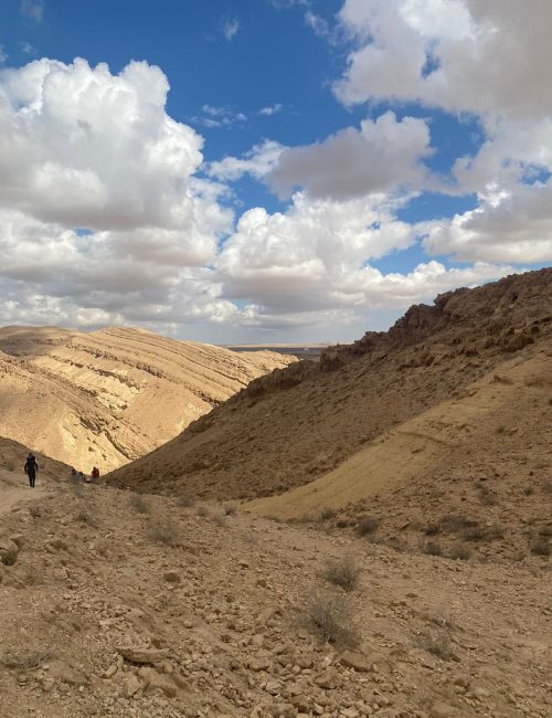 הסנפיר הקטן – תופעת טבע ייחודית במכתש הגדול