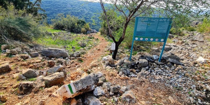 שמורת הטבע נחל יחיעם: טיול ביער טחוב וקסום - בשביל המשפחה