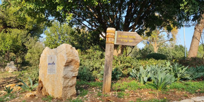 פארק אלון חורשת צה"ל בכרמיאל