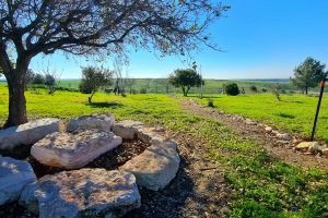 שביל סובב דליה