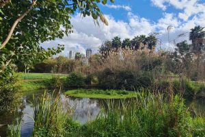 אתר שבע טחנות גני יהושע פארק הירקון