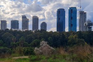 גבעת נפוליאון - תל גריסה פארק הירקון